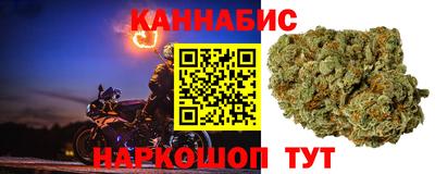 винт Сланцы