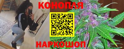 a pvp Славянск-на-Кубани