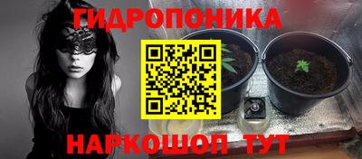 винт Сланцы
