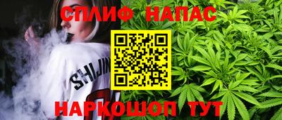 a pvp Славянск-на-Кубани