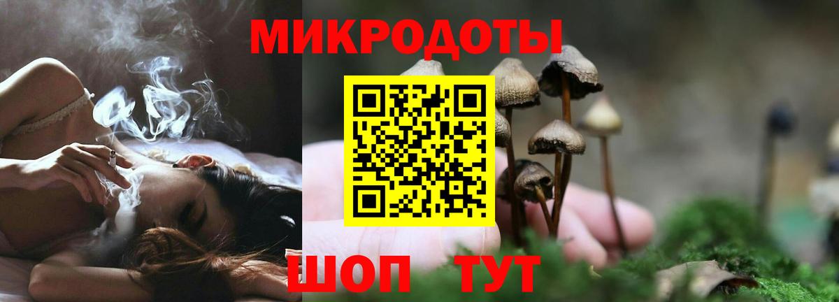 Новый Уренгой  Псилоцибиновые грибы MAGIC MUSHROOMS  Вход с VPN  Псилоцибиновые грибы Cubensis 